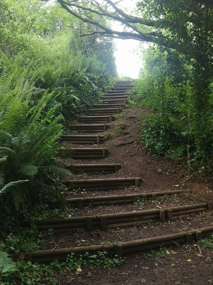 A photo of Teignmouth Coombe Valley 